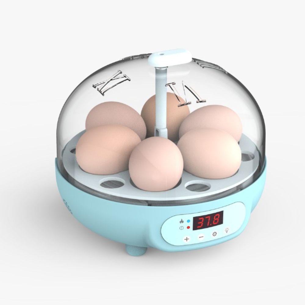 TM&W-Egg Incubator for Hatching 6 Eggs with Temperature Control and Humidity Adjustment for Chicken duck