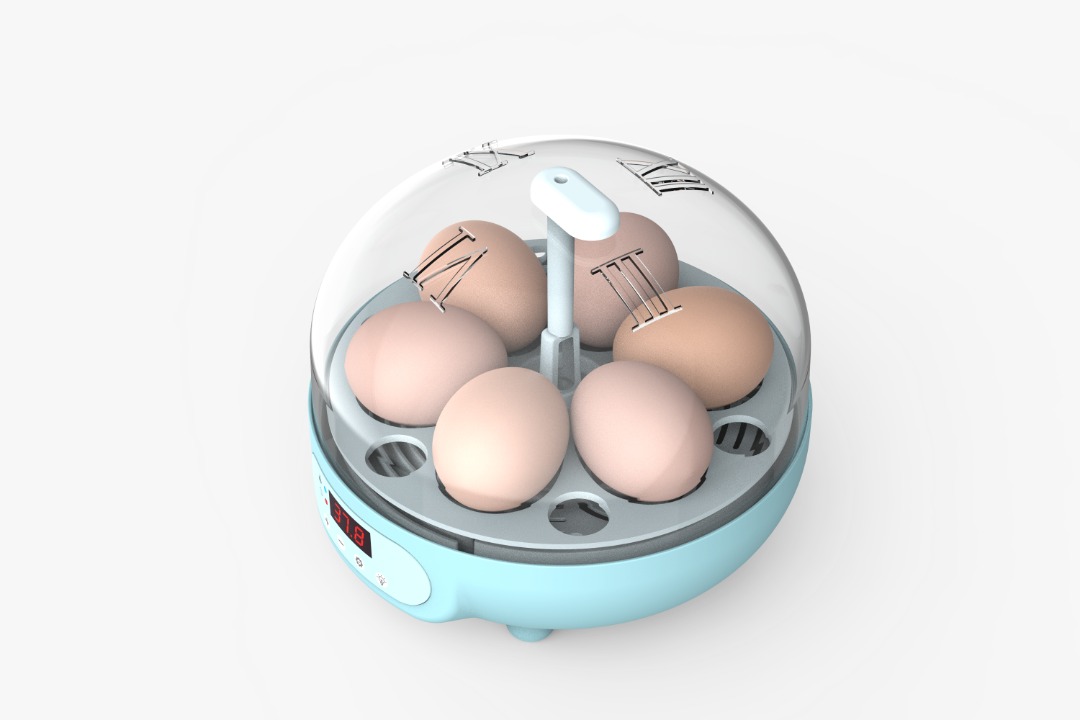6 egg incubator auto egg turning