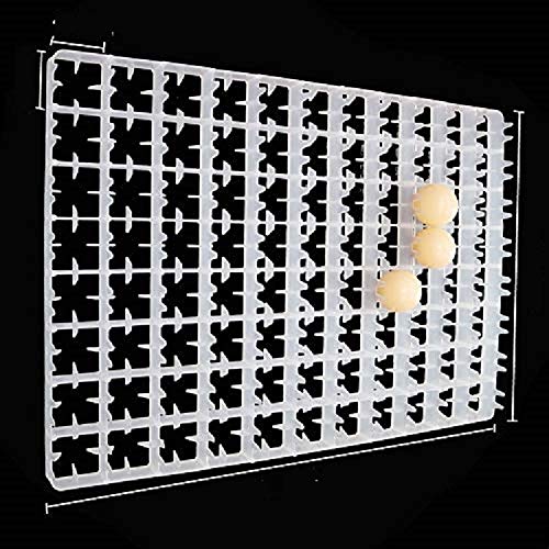 TM&W Hatcher Accessories 88-Chicken Eggs Setter Tray for Duck Automatic Incubator (White)