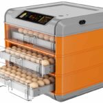 TM&W-128 small incubator home use hatching machine drawer incubator full automatic hatching machine