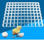 TM&W Quail or All Smaller Eggs Tray for Incubator Hatcher Brooder Poultry (White) -10 Pieces with 221 Capacity for Each -221×10=2210