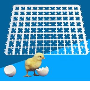 TM&W Hatcher Accessories 88×1=88-All Chicken Eggs Tray for Chicken Automatic Incubator (White) Visit the TM&W Store
