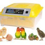 TM&W Automatic Intelligent Chicken Egg Hatcher Digital Hatching 112 Eggs Incubator (Yellow, WQ-112)