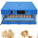 Tm&W -64 Chicken Egg Rolling Type Automatic Egg Incubator Capacity Of 64 Eggs (Any Size Egg Can Be Hatched)Â€¦ (64 Egg Incubator), Pack Of 1