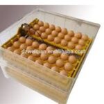 TM&W-Fully Automatic Egg Incubator for Hatching 96 Chicken Eggs or Equivalent (Yellow)