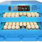 TM&W-Rolling tray 128 egg hatching machine mini egg incubator machine automatic