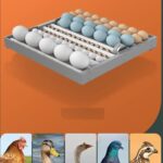 HEROSTONE-new egg incubator for chicken,mini egg incubator with drawer type, egg capacity- (64-EGG-ORANGE)