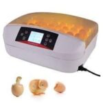 TM&W Small Machine with Automatic 32 Digital Clear 80W Egg Incubator Hatcher Turning Temperature Controller for Chicken Poultry Duck Bird