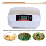 TM&W -Fully auto Running Machine for Any Eggs Automatic 32 Digital Clear Egg Incubator Hatcher Egg Turning Temperature Control 80W US Plug