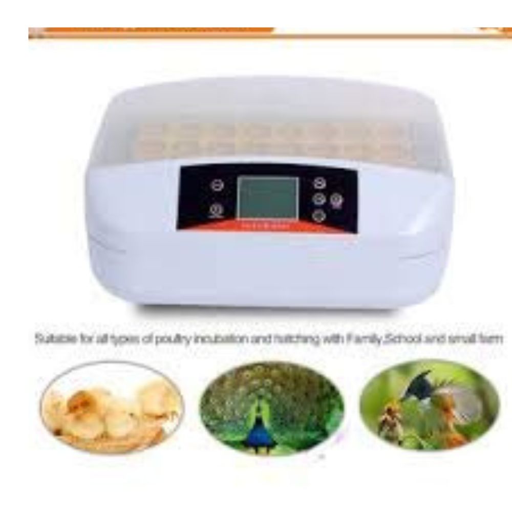 TM&W Full-Automatic Egg Incubator Hatcher 24 Eggs All-in-One Transparent Eggs Hatching Machine for Chicken