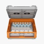 TM&W-Family use Mini Egg incubator with roller egg tray,incubators