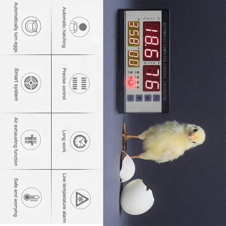 TM&W xm18 Thermostat Hygrostat Full Automatic Multifunction Egg Incubator Control - Image 2