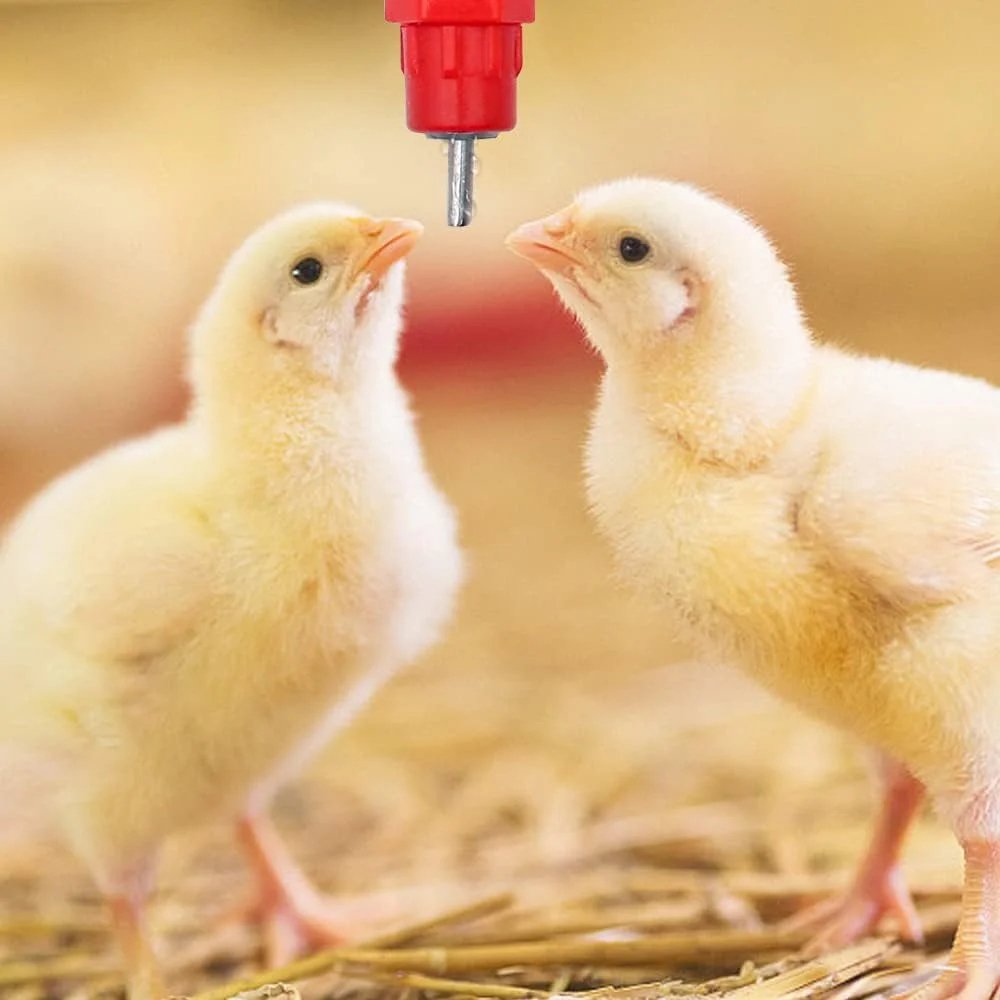 TM&W Poultry Hen Duck Screw Style Water Drink Feeder Automatic Chicken Water N Drinker 25 Pcs - Image 4