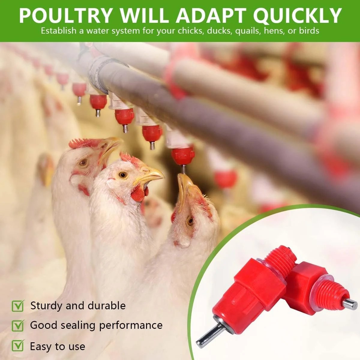 TM&W chicken N drinkers/poultry water Ns stainless steel for chicken house - Image 5